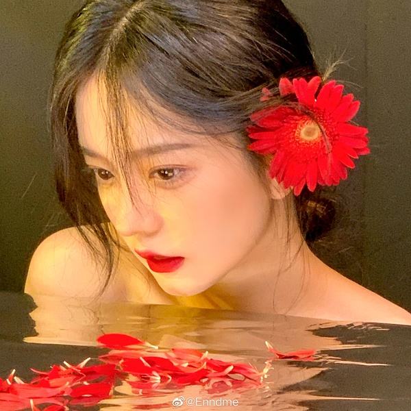 香港资料大全手机app下载截图